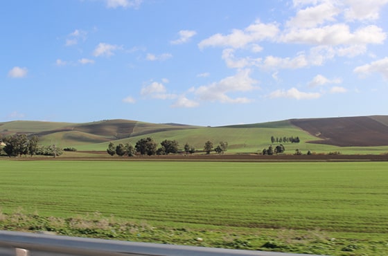 Visites des fermes écologiques