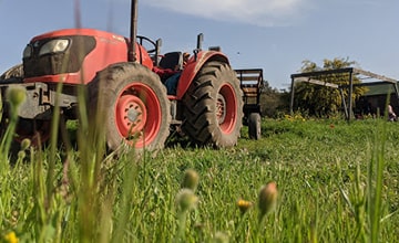  Soukra farm, Ariana