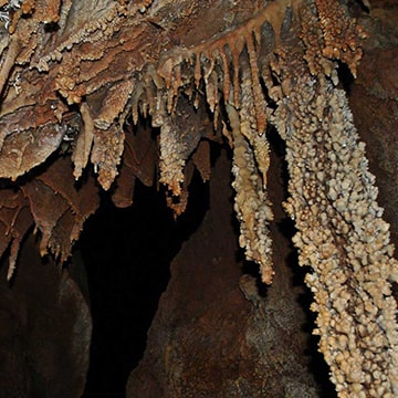 Grotte de l’églantine Djebel Sidi Khlifa