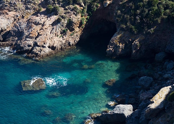 grottes marines: Grottes roses, Cap Farina, Bizerte