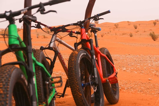 Tour des oasis et des habitations troglodytes à vélo